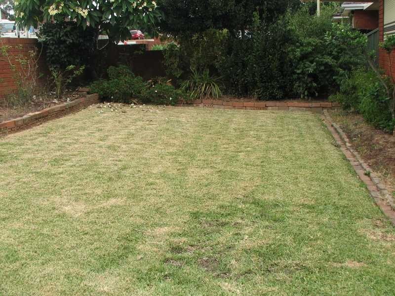 31 Jersey Road, Greystanes NSW 2145