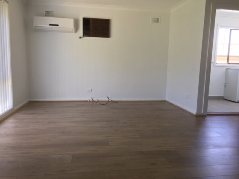 10 CAMELLIA STREET, Greystanes NSW 2145