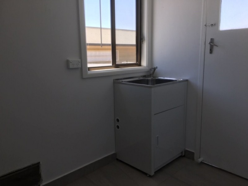 10 CAMELLIA STREET, Greystanes NSW 2145