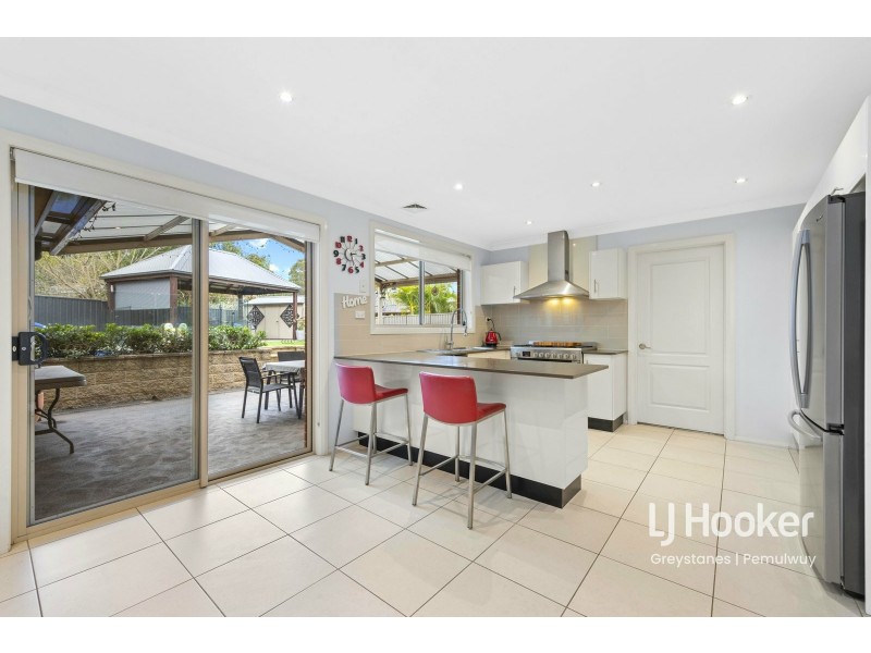 9 JASMINE PLACE, Greystanes NSW 2145