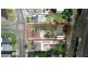 59 Veron Street, Wentworthville NSW 2145
