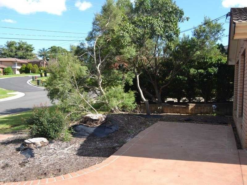 17 Hibiscus St, Greystanes NSW 2145