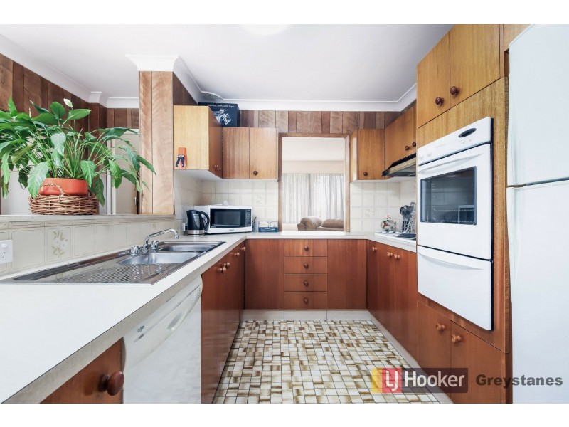 119 Braeside Road, Greystanes NSW 2145