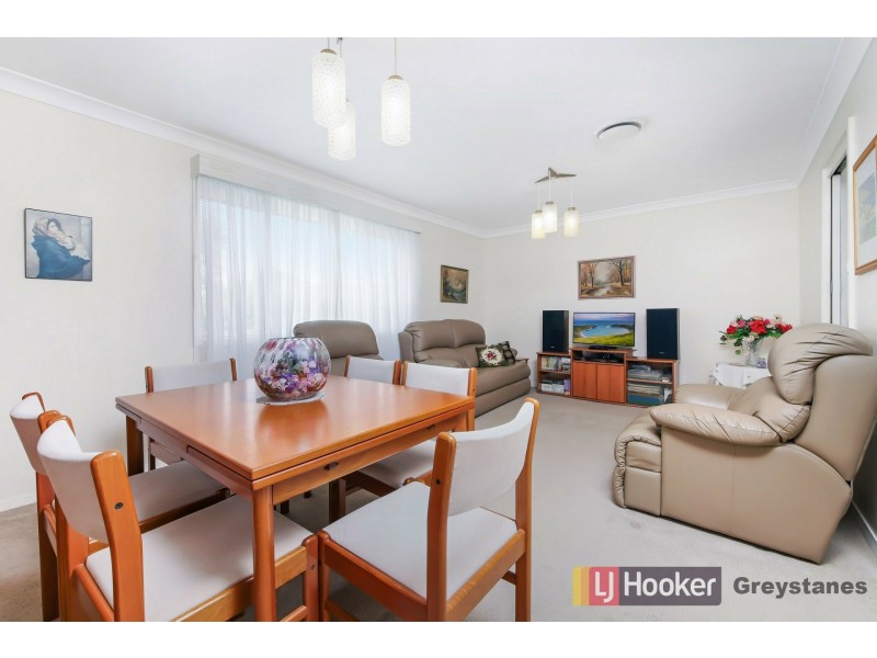 119 Braeside Road, Greystanes NSW 2145