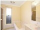 81 Damien Ave, Greystanes NSW 2145