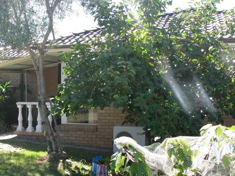 44 Jonathan St, Greystanes NSW 2145