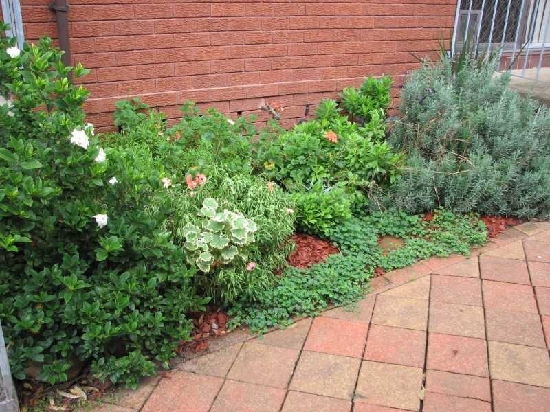 1 Poppy Place, Greystanes NSW 2145