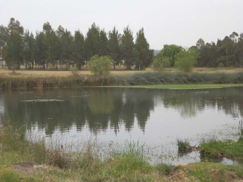 Lot 3050 Wixstend Ave, Cecil Hills NSW 2171