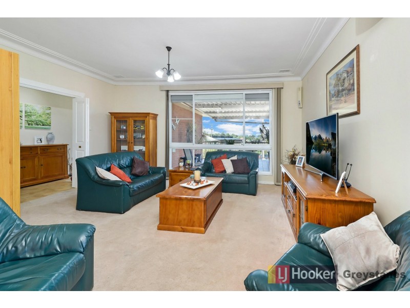 3 Ray Place, Woodpark NSW 2164