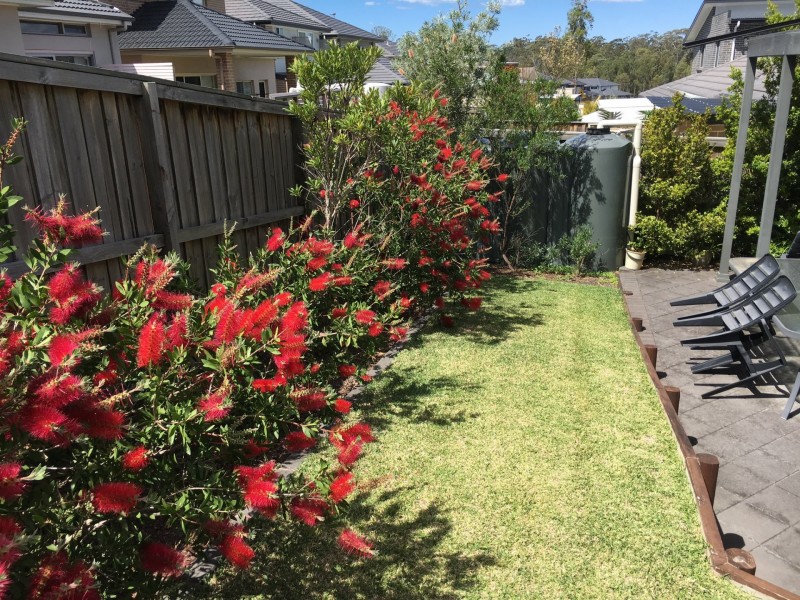 7 Baoma Avenue, Pemulwuy NSW 2145