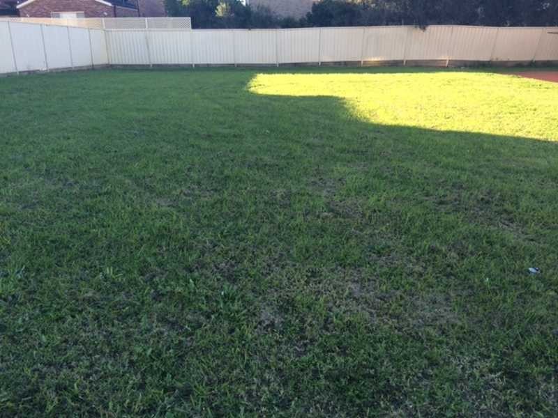 269 Old Prospect Road, Greystanes NSW 2145