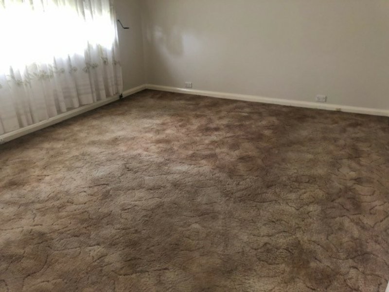 4 Douglas Street, Merrylands NSW 2160