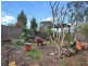 31 Daisy Street, Greystanes NSW 2145