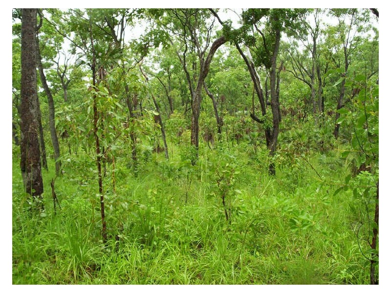 930 Chinner Road, Lake Bennett NT 0822