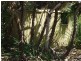 26 Uhr Road, Wagait Beach NT 0822