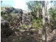 585 Litchfield Park Road, Batchelor NT 0845
