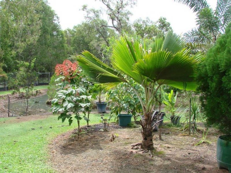 145 Horsenell Road, Noonamah NT 0837