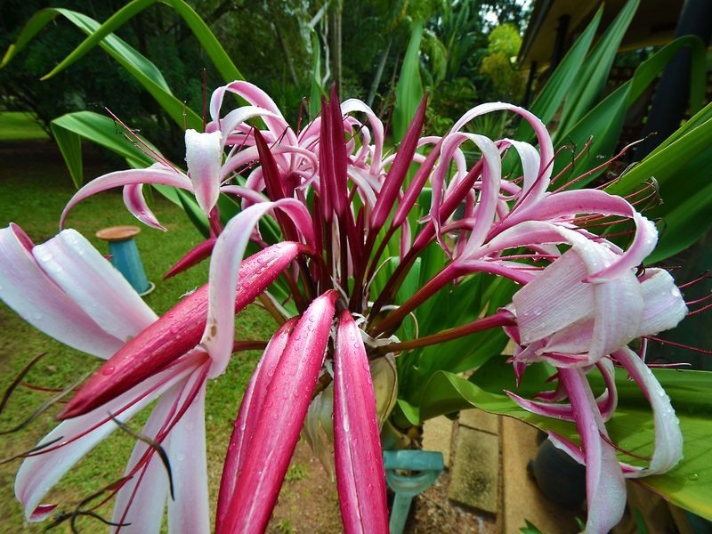 75 McMinns Drive, Mcminns Lagoon NT 0822