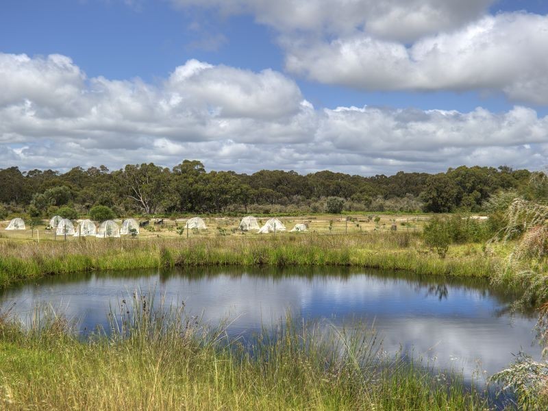 816/40 Broadhurst Road, Metricup WA 6280