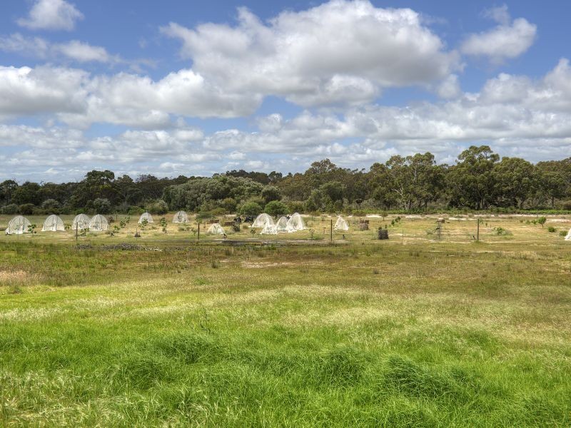 816/40 Broadhurst Road, Metricup WA 6280