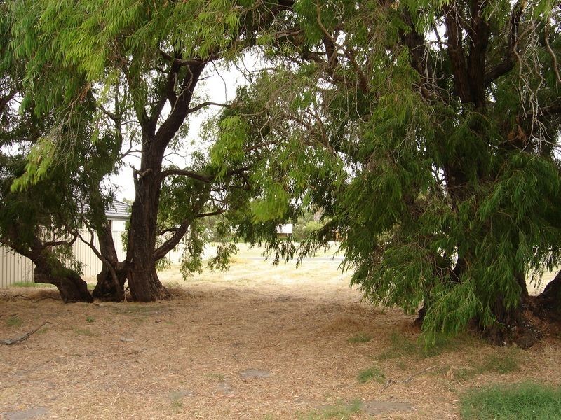 90 Beachfields Drive, Abbey WA 6280