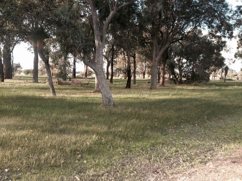 53 Everwood Glade, Ambergate WA 6280