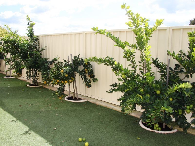 3/10 Ash Mews, Collie WA 6225