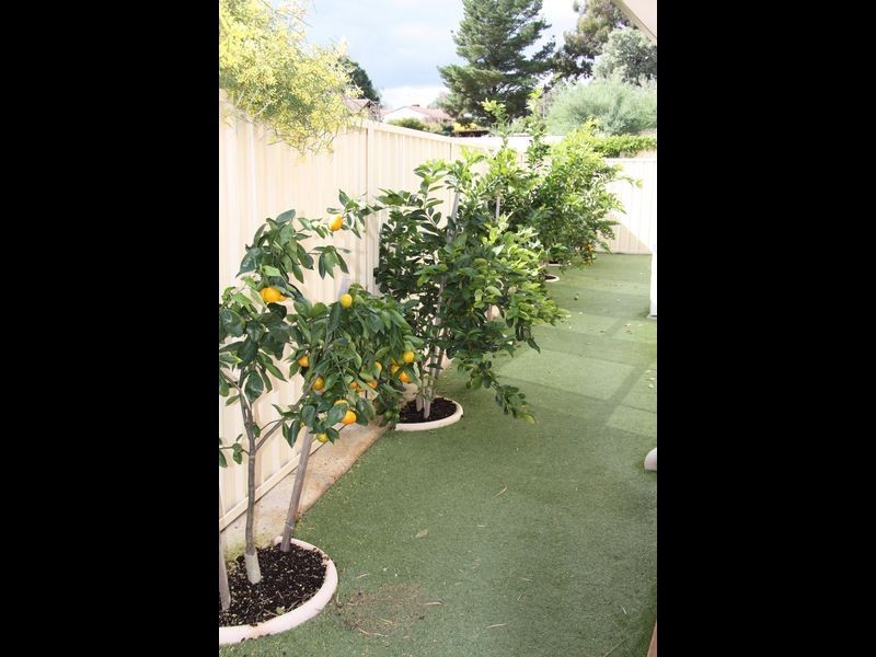 3/10 Ash Mews, Collie WA 6225