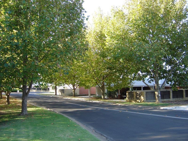 41/14 Little Colin Street, Busselton WA 6280