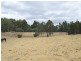 Lot 103 Greenbushes – Grimwade Road, Greenbushes WA 6254