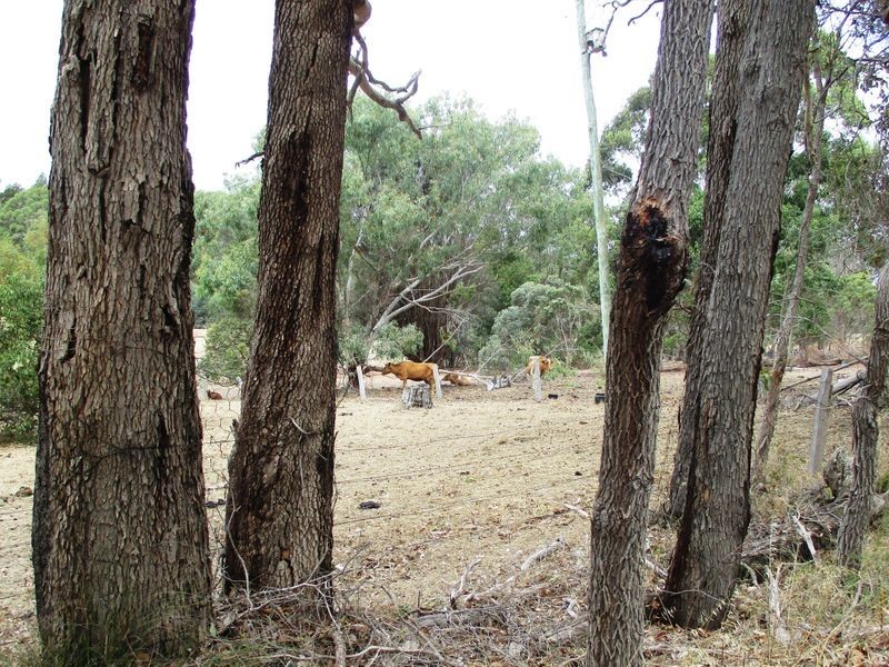 Lot 103 Greenbushes – Grimwade Road, Greenbushes WA 6254