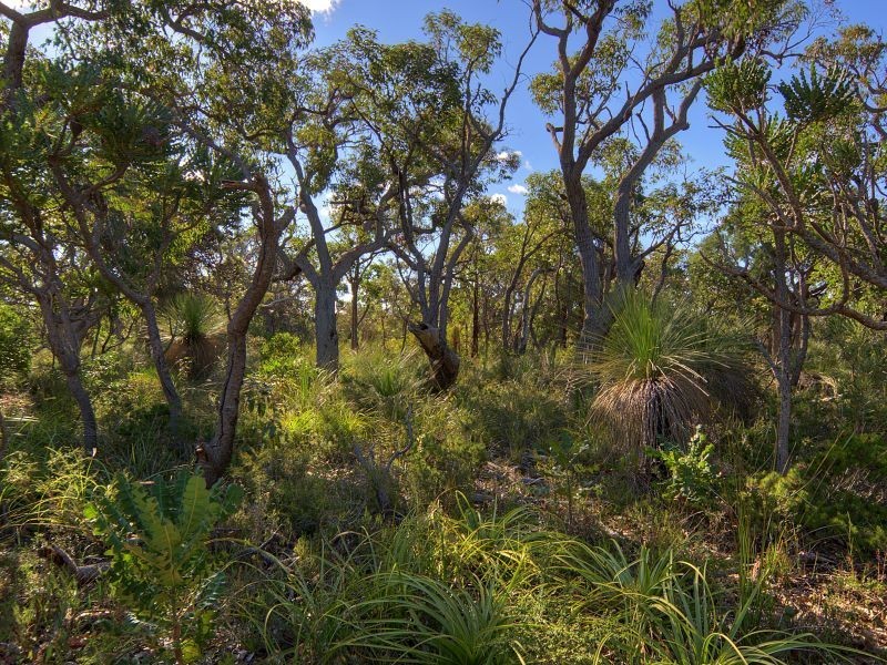 87 Sainsbury Loop, Yallingup WA 6282