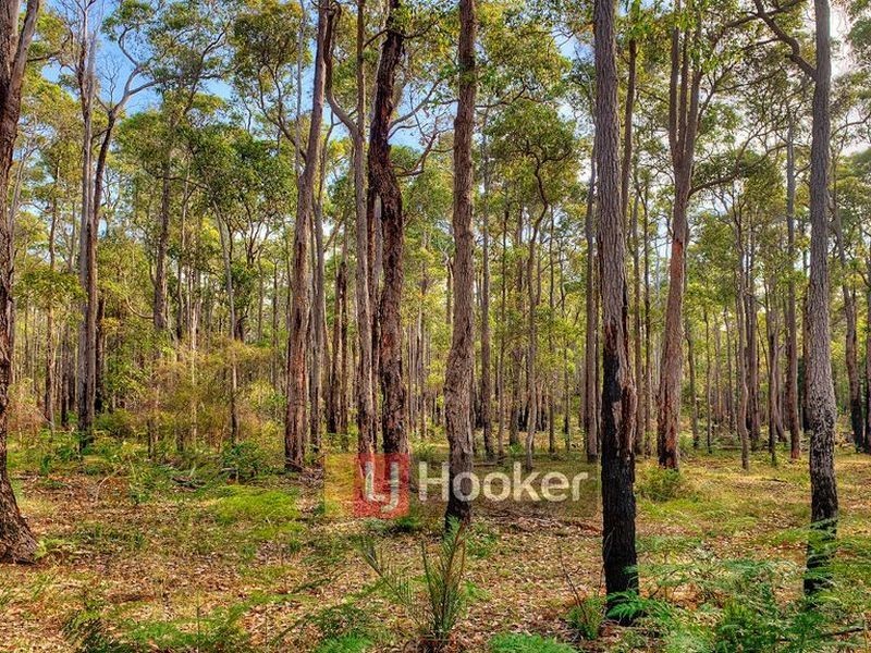 Lot 11205 Graphite Road, Carlotta WA 6275