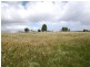 Lot 102 Layman Road, Wonnerup WA 6280