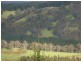 1065 Bridge Road, Balingup WA 6253
