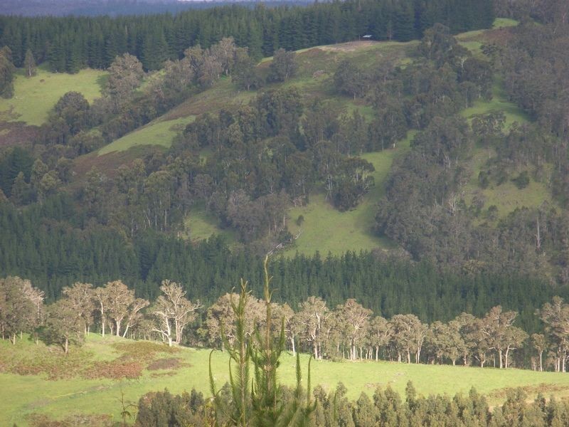 1065 Bridge Road, Balingup WA 6253