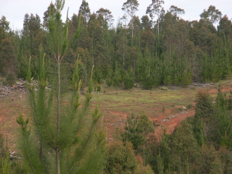 1065 Bridge Road, Balingup WA 6253