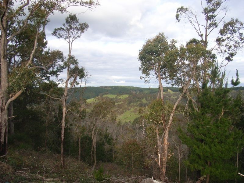 1065 Bridge Road, Balingup WA 6253