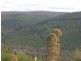 1065 Bridge Road, Balingup WA 6253