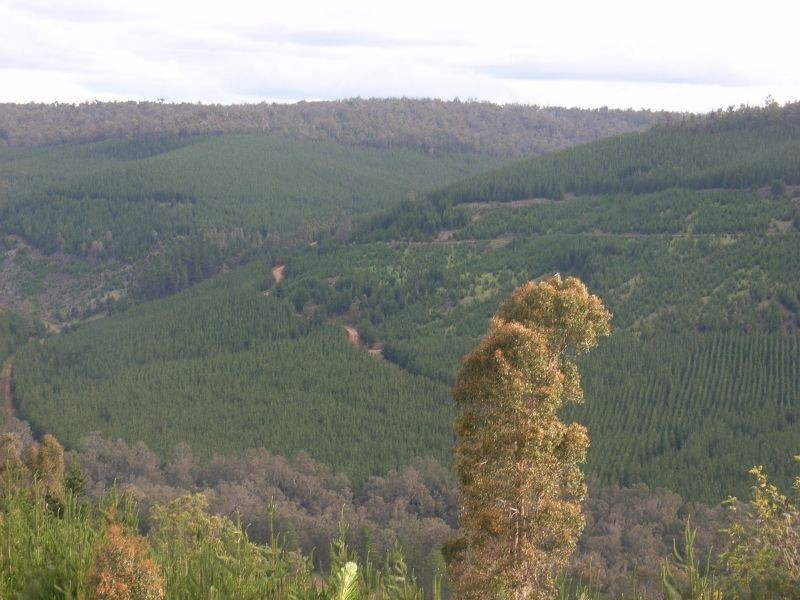 1065 Bridge Road, Balingup WA 6253