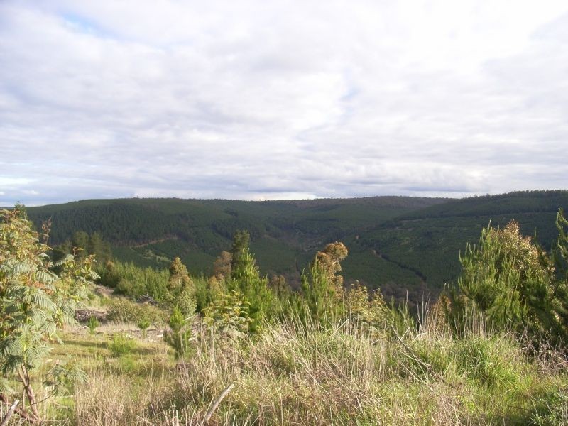 1065 Bridge Road, Balingup WA 6253
