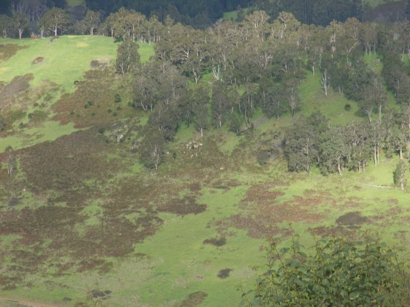 1065 Bridge Road, Balingup WA 6253