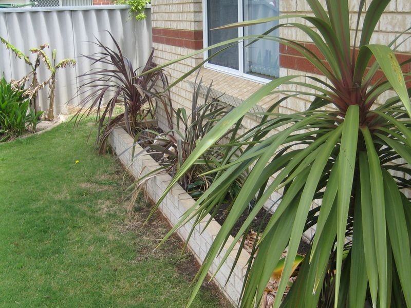 3 Songlark Mews, Geographe WA 6280