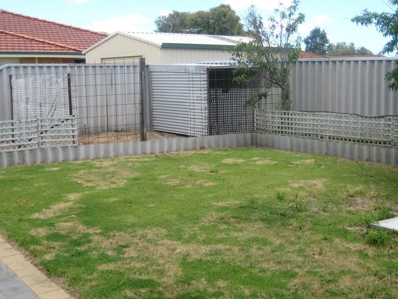 3 Songlark Mews, Geographe WA 6280