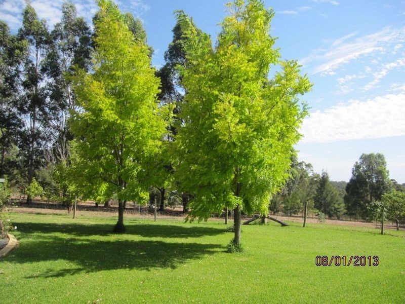 15 Rosella Close, Nannup WA 6275