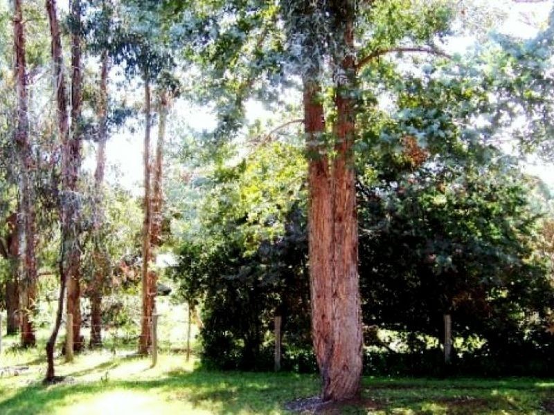 56 Jayes Road, Balingup WA 6253