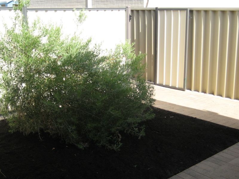 14 Wagon Entrance, Busselton WA 6280