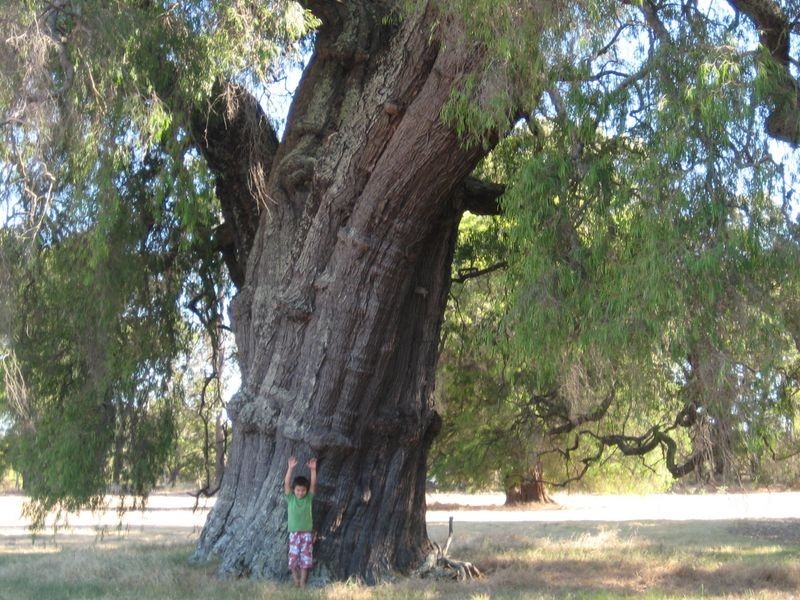 663 Rendezvous Road, Vasse WA 6280