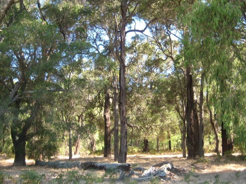 663 Rendezvous Road, Vasse WA 6280