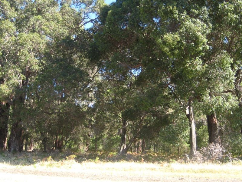 663 Rendezvous Road, Vasse WA 6280